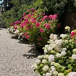 Aux Remparts De Montreuil בית הארחה Montreuil (Pas-de-Calais)