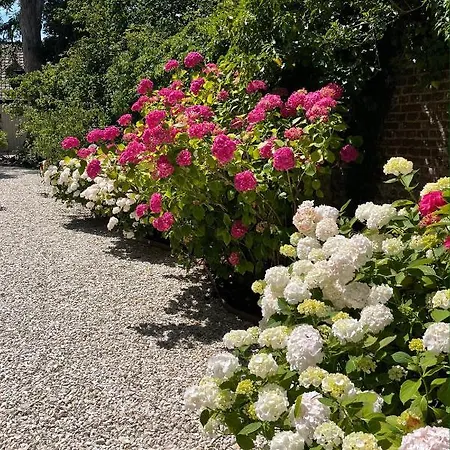 Aux Remparts De Montreuil بيت ضيافة مورويْ سور مير
